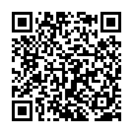 QR code for FLK295