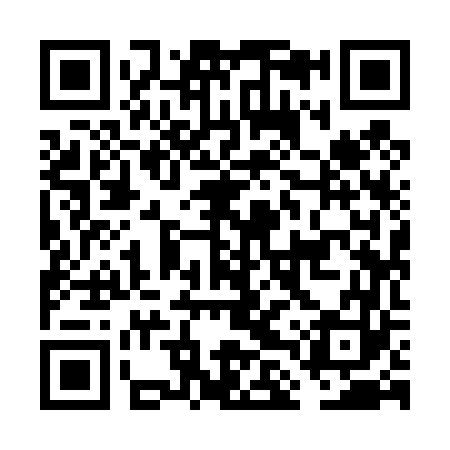 QR code for FLY463