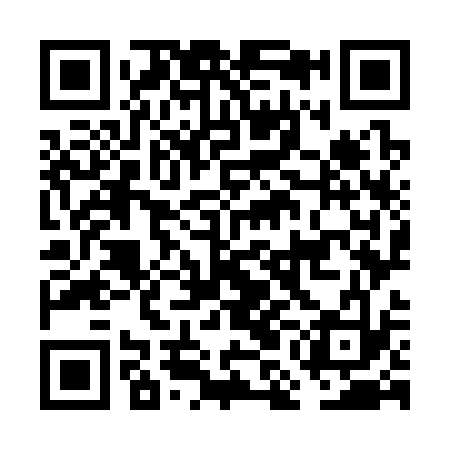 QR code for FMO333
