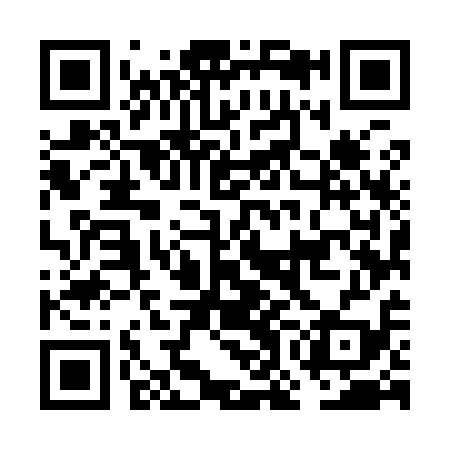 QR code for FOM919