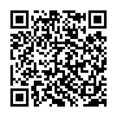 QR code for FPN633