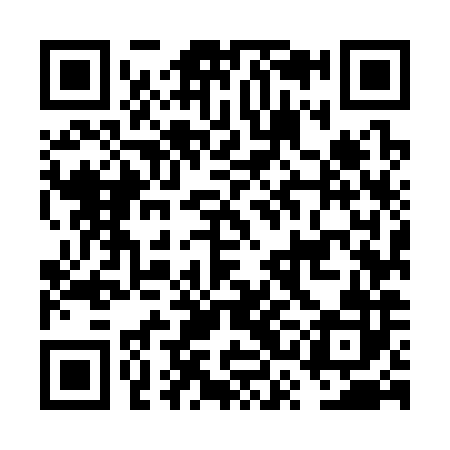 QR code for FSM382