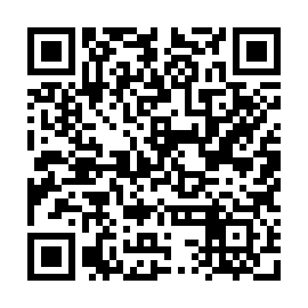 QR code for FSM383