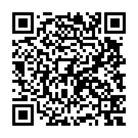 QR code for FST439