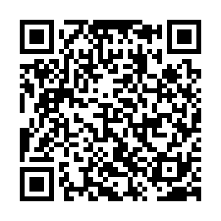QR code for FVG331