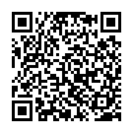QR code for FVG741