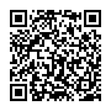 QR code for FVV393