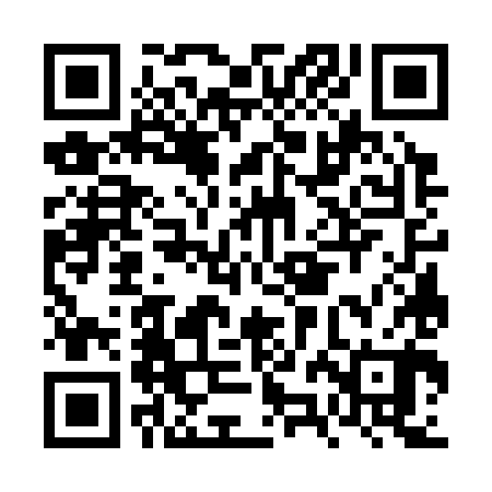 QR code for FZG380