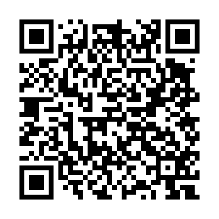 QR code for FZG416