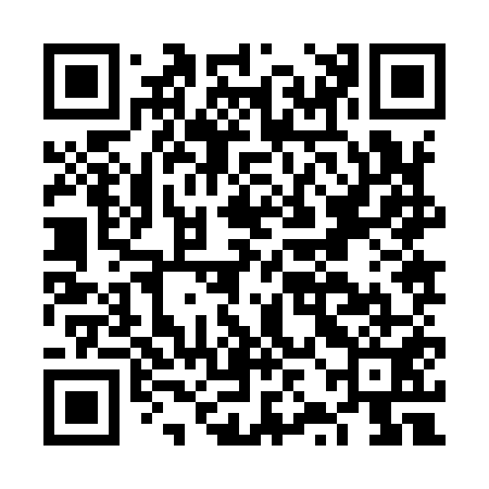 QR code for FZJ951