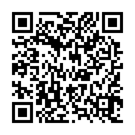 QR code for FZL307