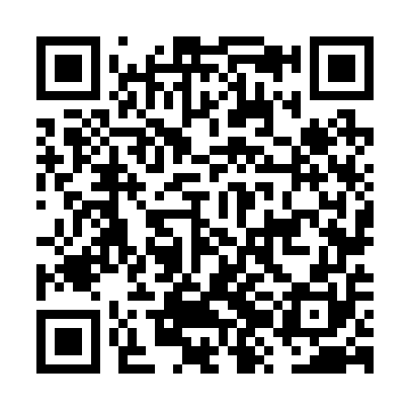 QR code for FZN250