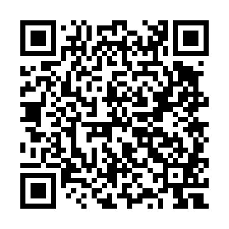 QR code for FZO481