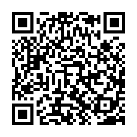 QR code for FZP919