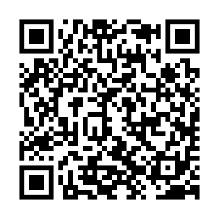 QR code for FZR311