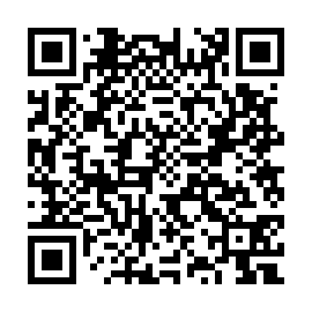 QR code for FZR530