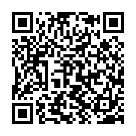 QR code for FZT133