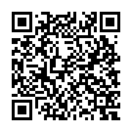 QR code for FZT376