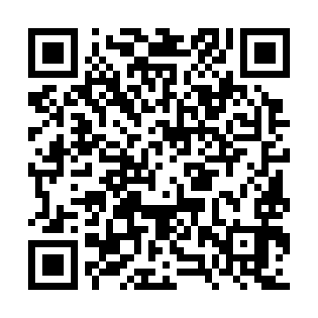 QR code for FZU393