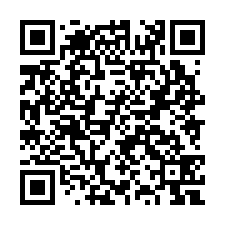 QR code for FZX339