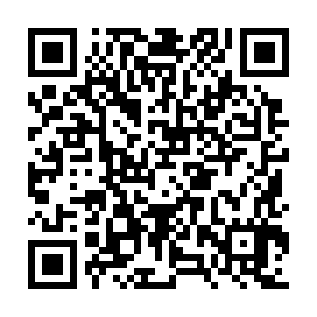 QR code for FZY387