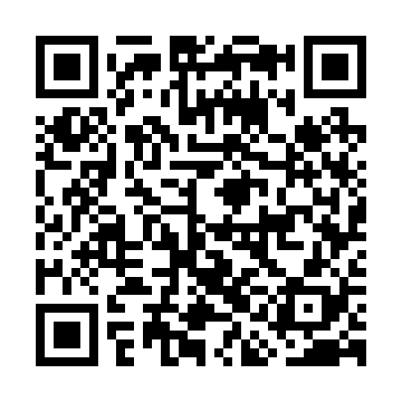 QR code for GAG228