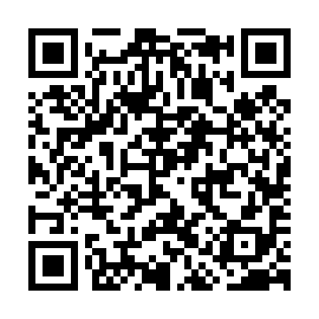 QR code for GAV498