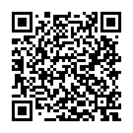 QR code for GEI511