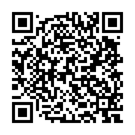 QR code for GES493