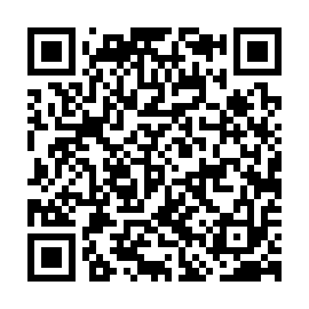 QR code for GFT313