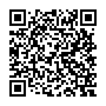 QR code for GFZ161