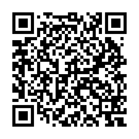 QR code for GHS299