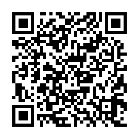 QR code for GIC919