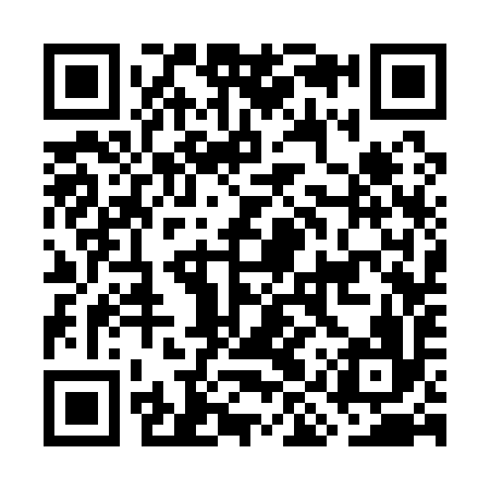 QR code for GIS196