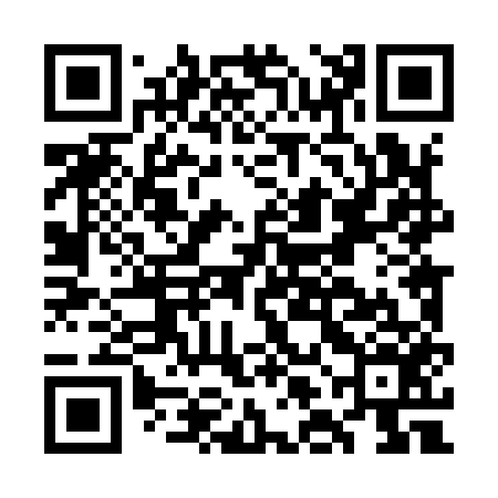 QR code for GLL956