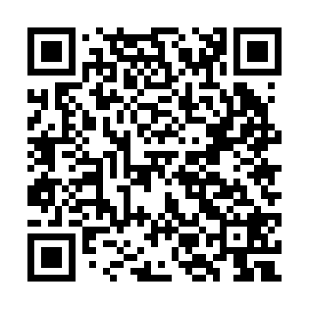 QR code for GME228