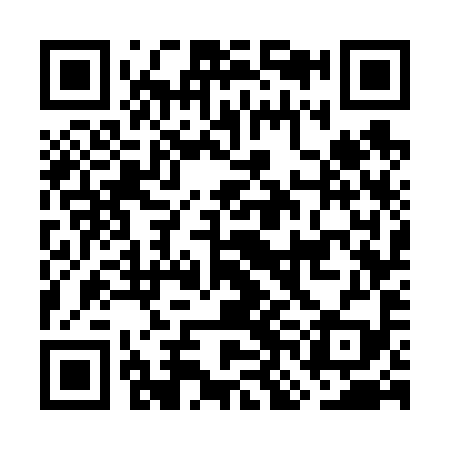 QR code for GNG699