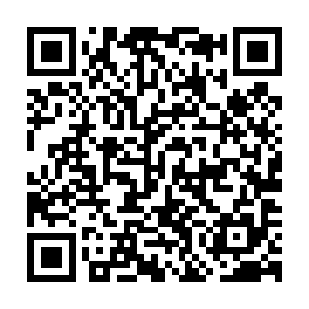 QR code for GOL495