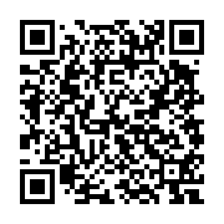 QR code for GOV410