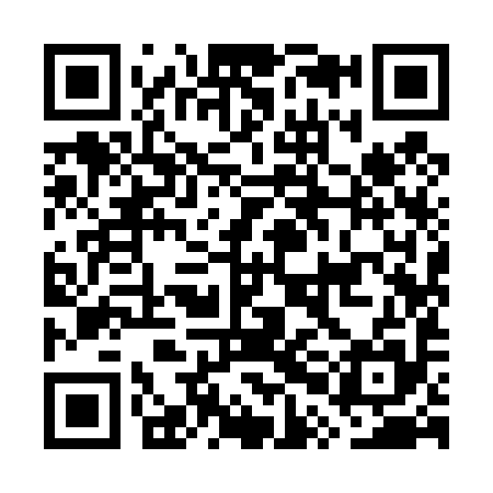QR code for GPI495