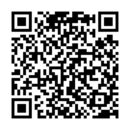 QR code for GTI689
