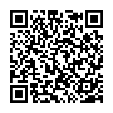 QR code for GUN371