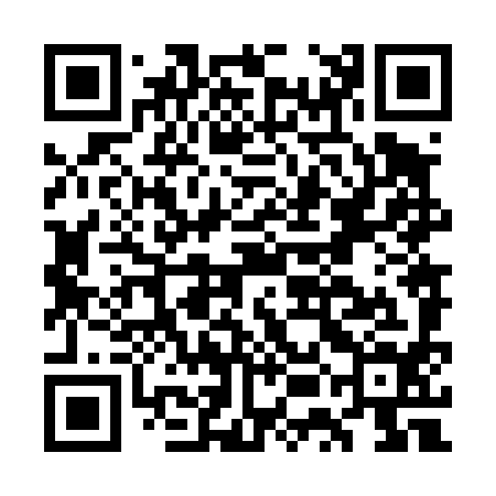 QR code for GUN494