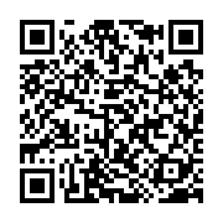 QR code for GYS729