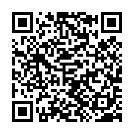 QR code for GZL491