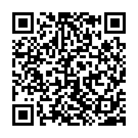QR code for GZO311