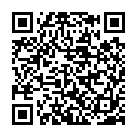 QR code for HCG733