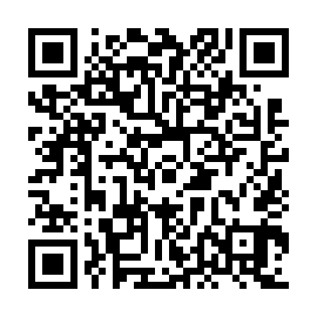 QR code for HDN641