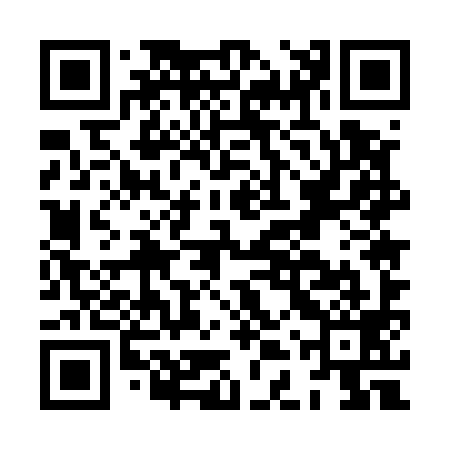 QR code for HDU599
