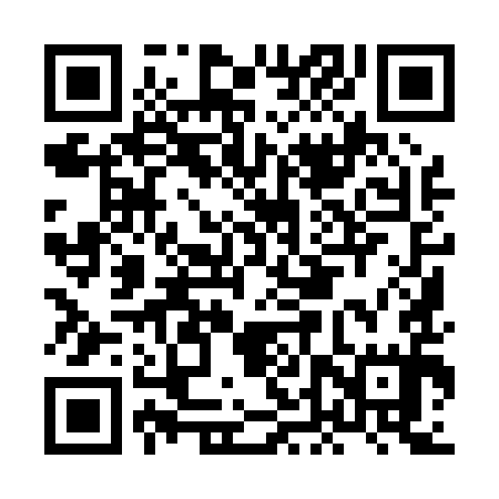 QR code for HDY095